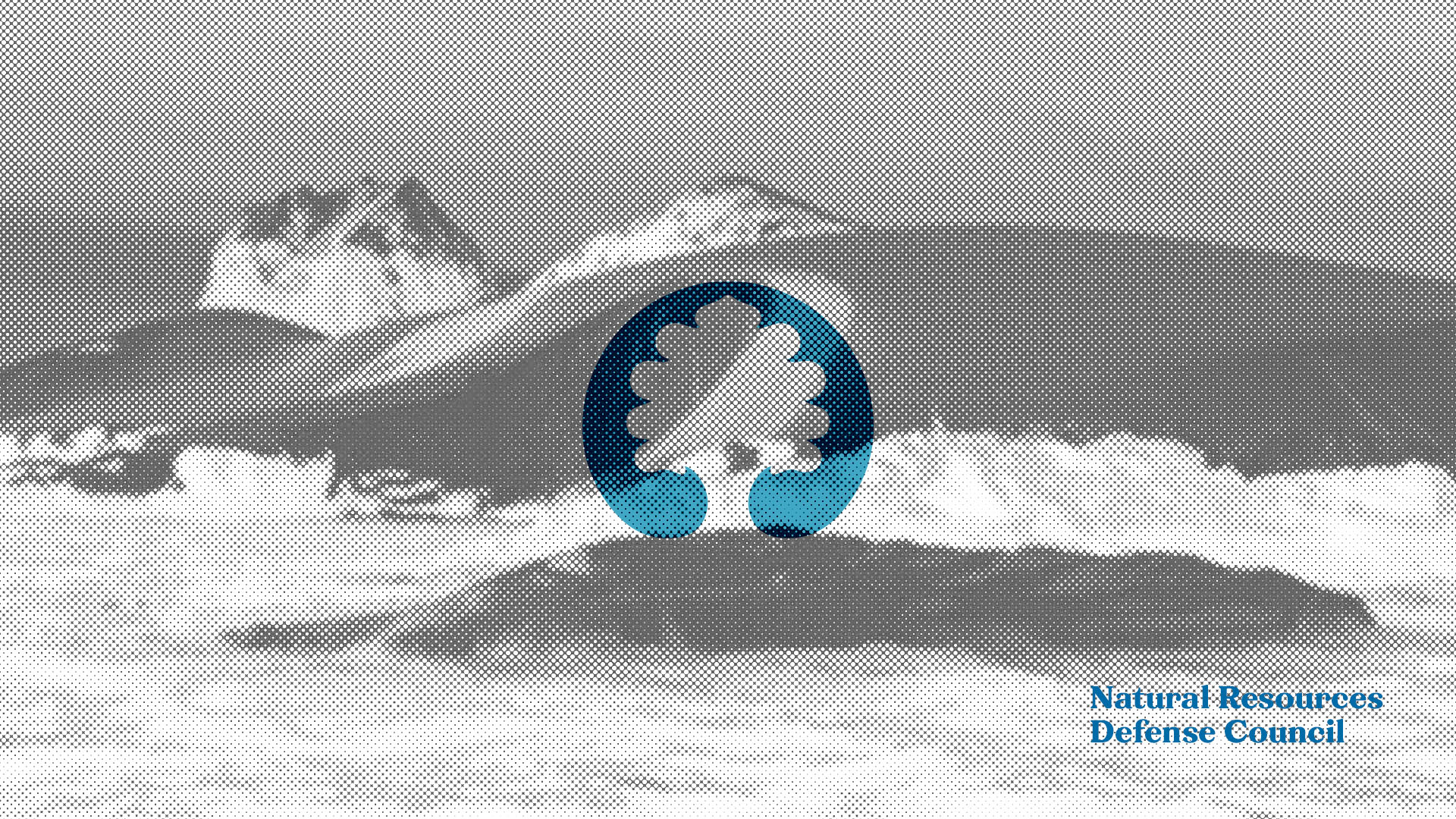 NRDC