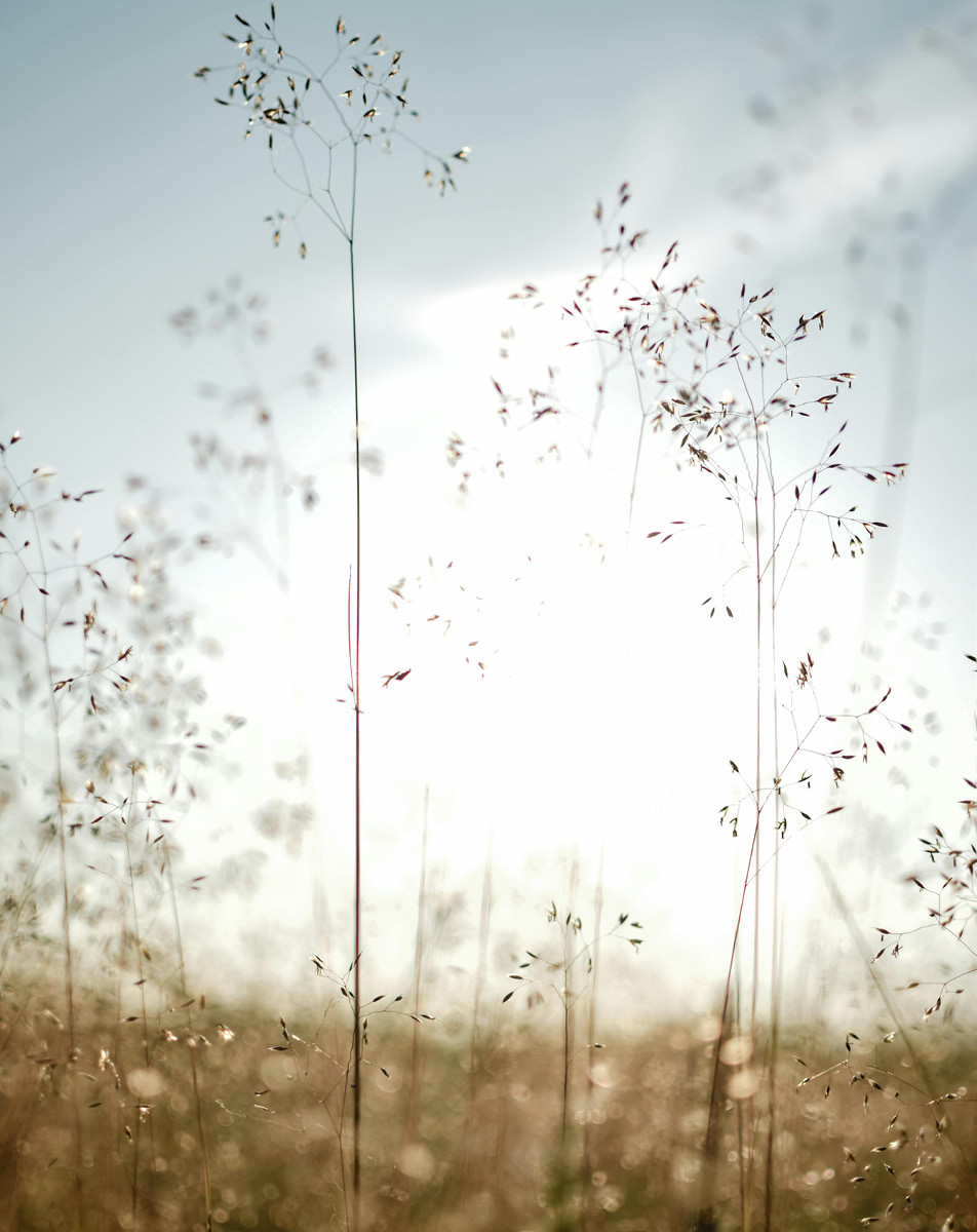 WP-Brand-Assets-Vertical6