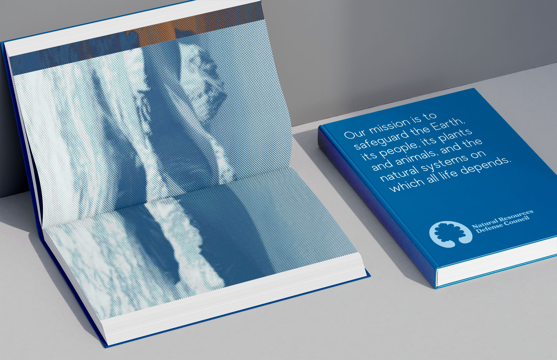 AnnualReport