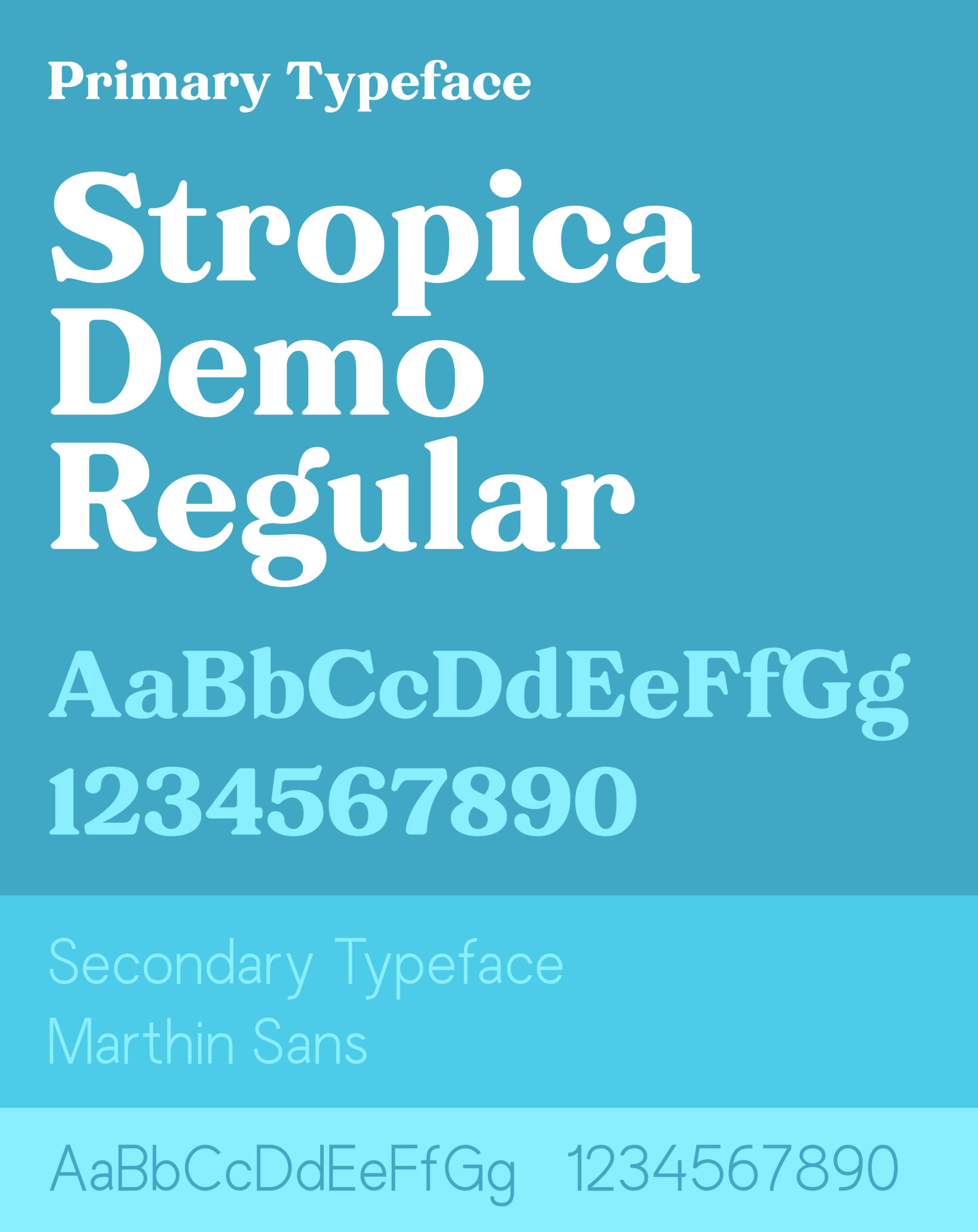 Typefaces-1